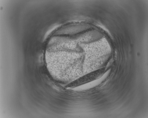 X0000075921352200610151856