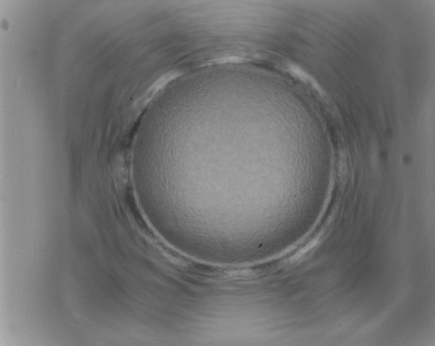 X0000075921353200610151856