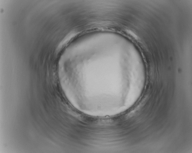 X0000075921354200610151856