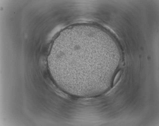 X0000075921355200610151856