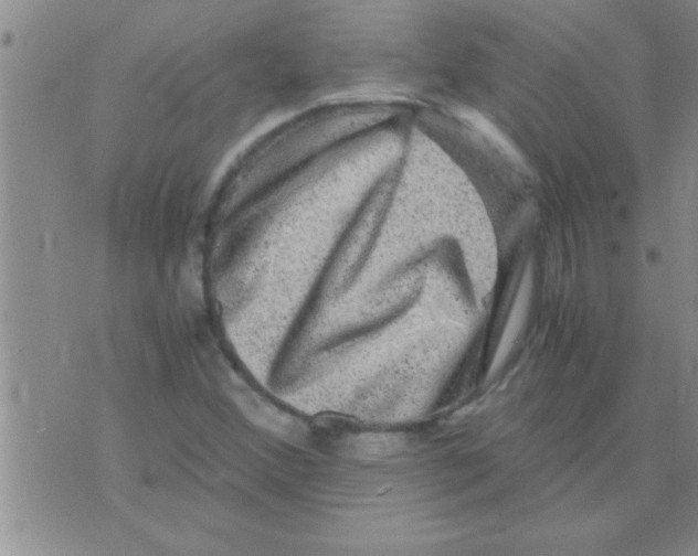 X0000075921356200610151856