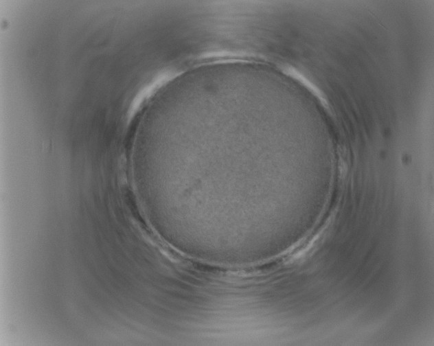 X0000075921357200610151856