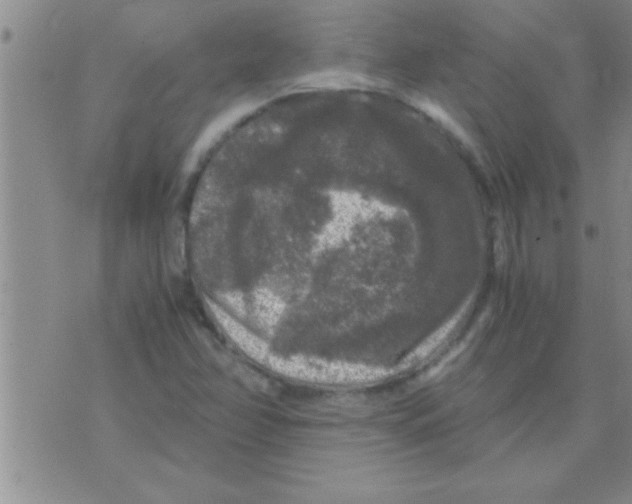 X0000075921358200610151856