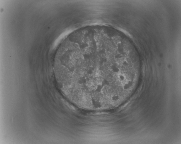 X0000075921359200610151856