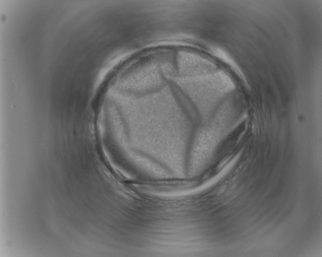 X0000075921360200610151856