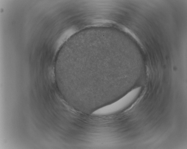 X0000075921362200610151856