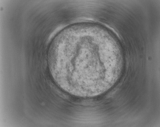 X0000075921363200610151856