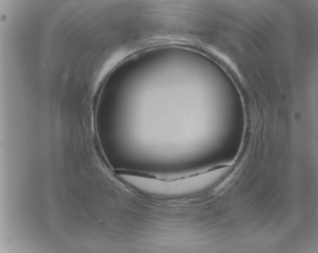 X0000075921365200610151856