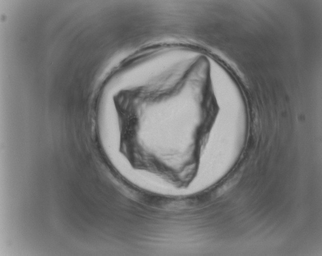 X0000075921367200610151856