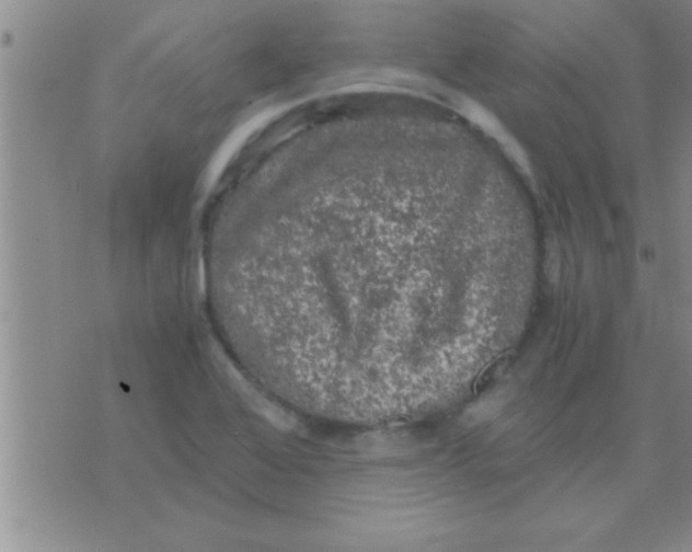 X0000075921368200610151856