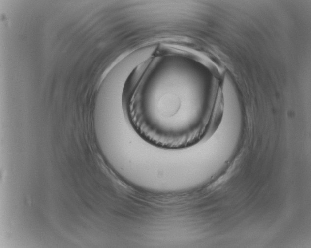 X0000075921369200610151856