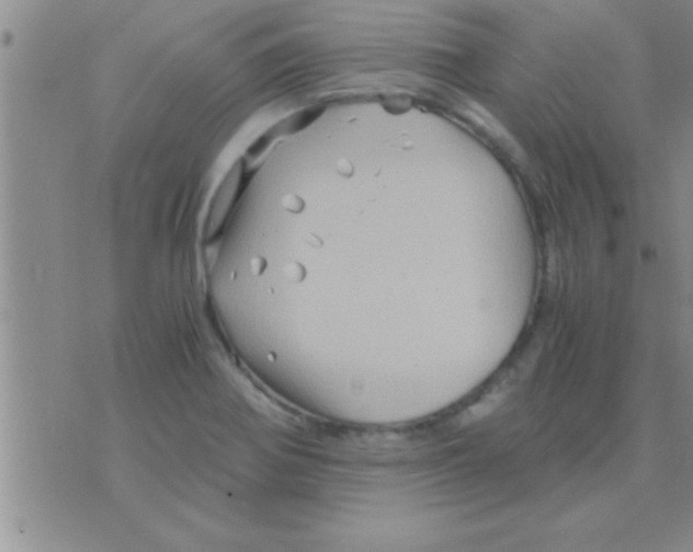 X0000075921370200610151856