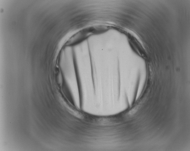 X0000075921371200610151856