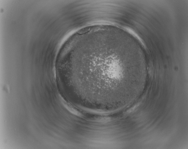 X0000075921372200610151856