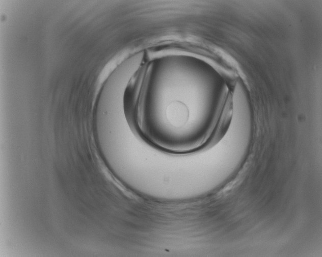 X0000075921373200610151856