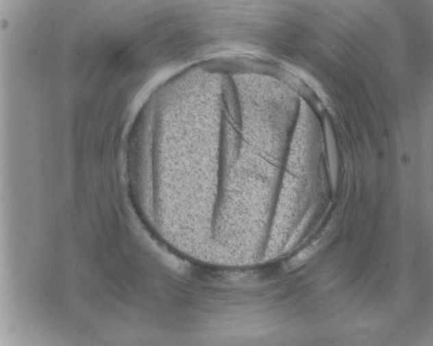 X0000075921375200610151856