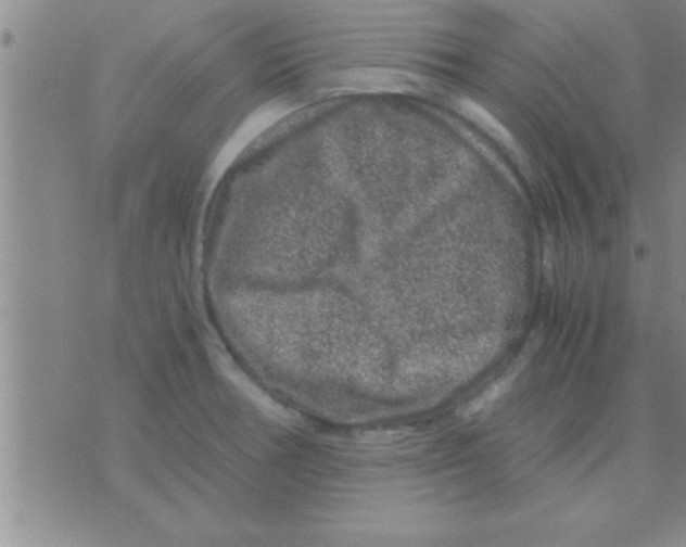 X0000075921378200610151855