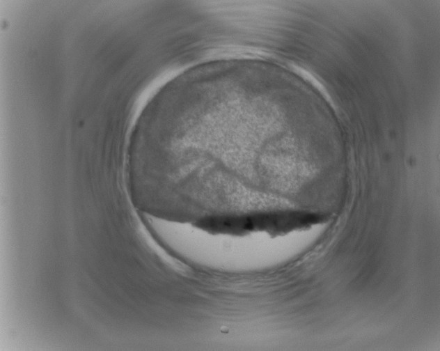 X0000075921379200610151855