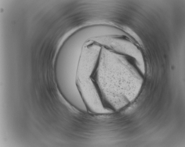 X0000075921380200610151855