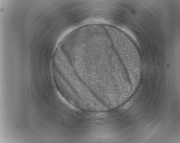 X0000075921382200610151855