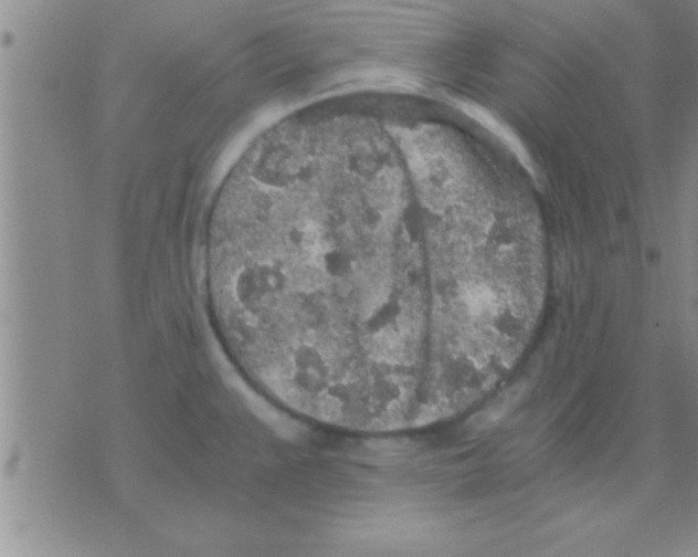 X0000075921383200610151855