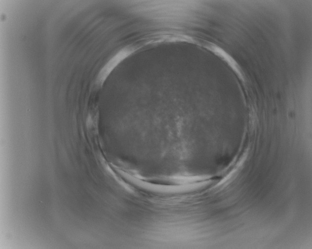 X0000075921385200610151855