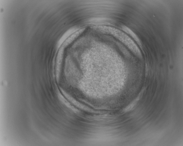 X0000075921386200610151855