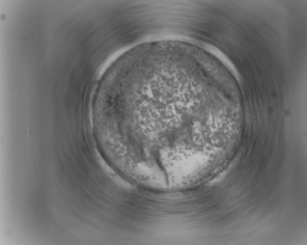 X0000075921388200610151855