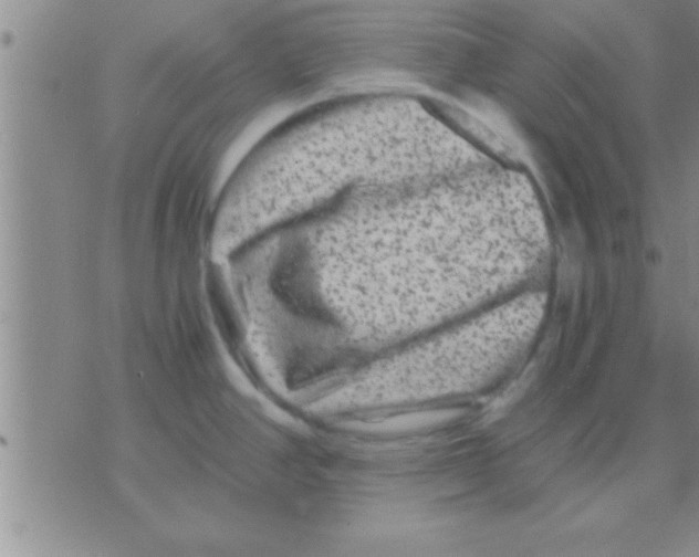 X0000075921390200610151855