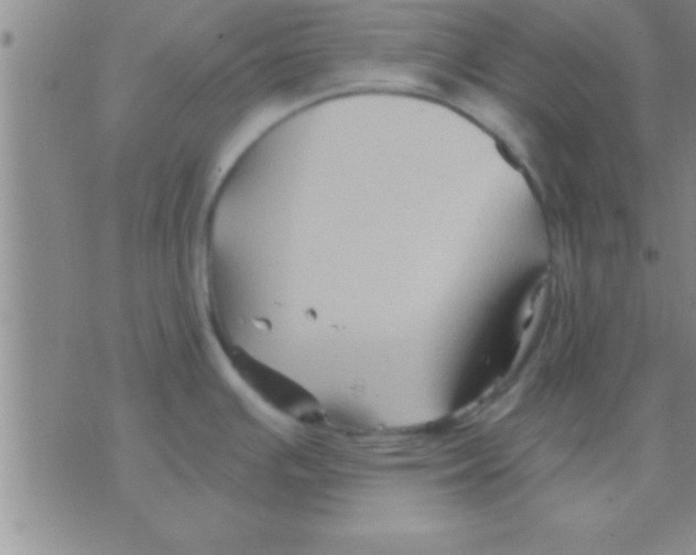 X0000075921391200610151855