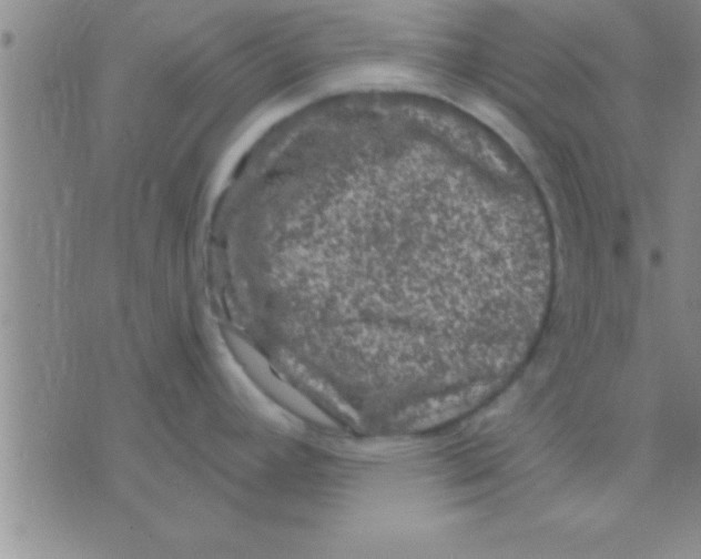 X0000075921392200610151855