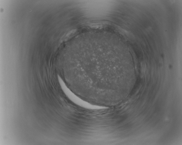 X0000075921394200610151854