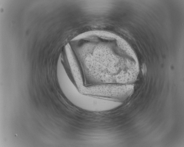 X0000075921396200610151855