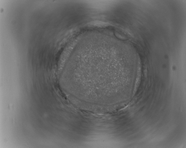 X0000075921397200610151855