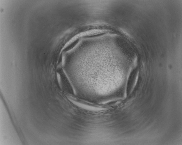 X0000075921398200610151855