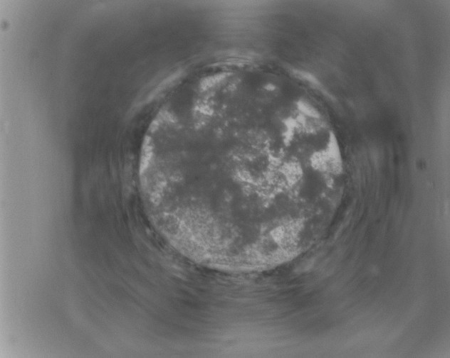 X0000075921399200610151855