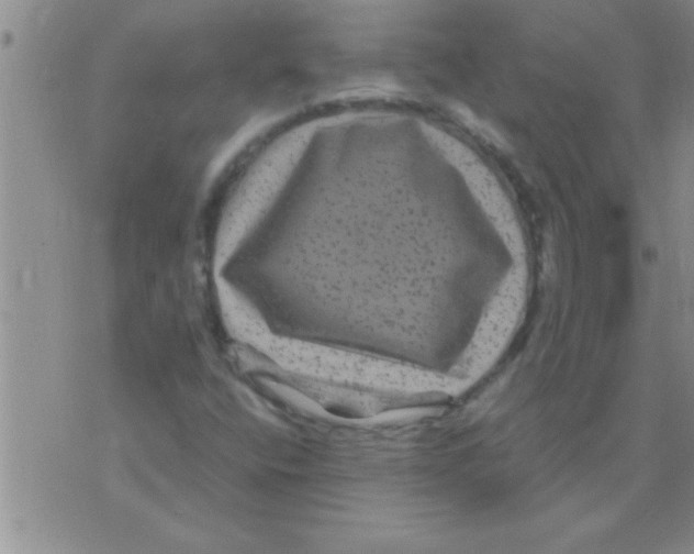 X0000075921400200610151855