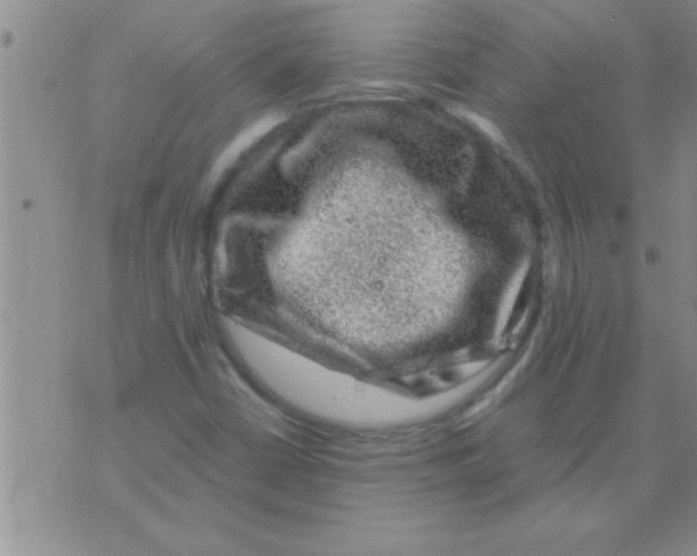 X0000075921402200610151855