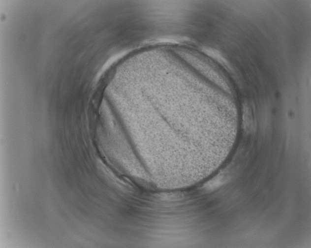 X0000075921404200610151855