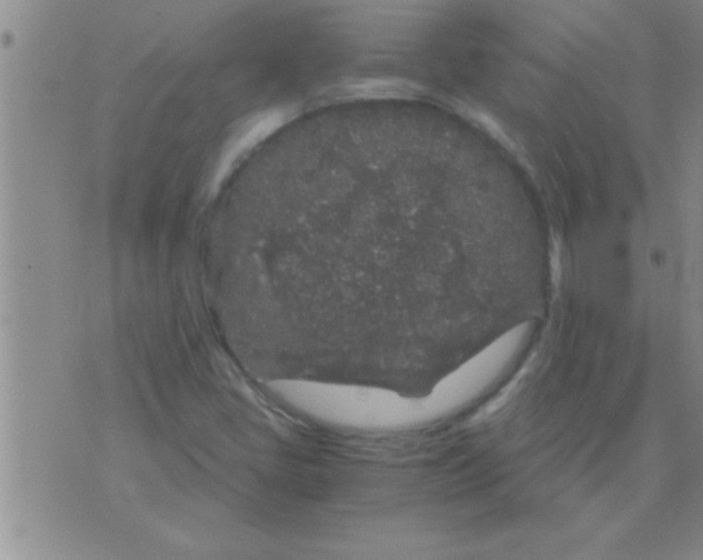 X0000075921405200610151855