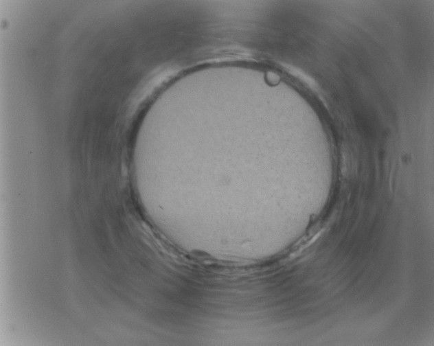 X0000075921407200610151855