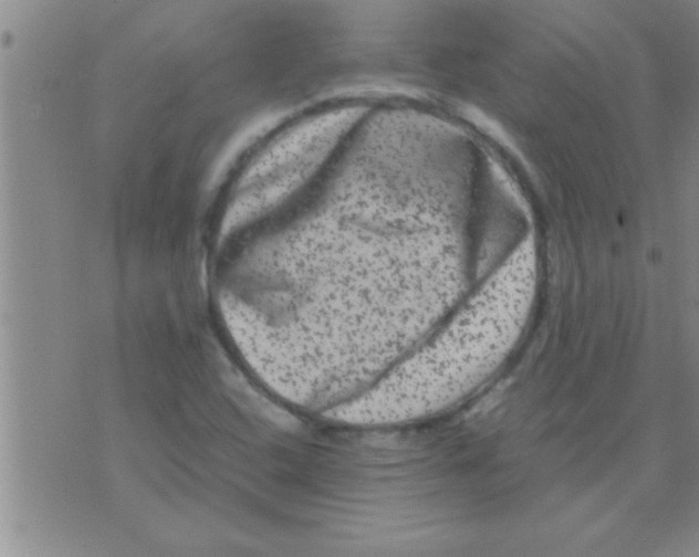 X0000075921408200610151855