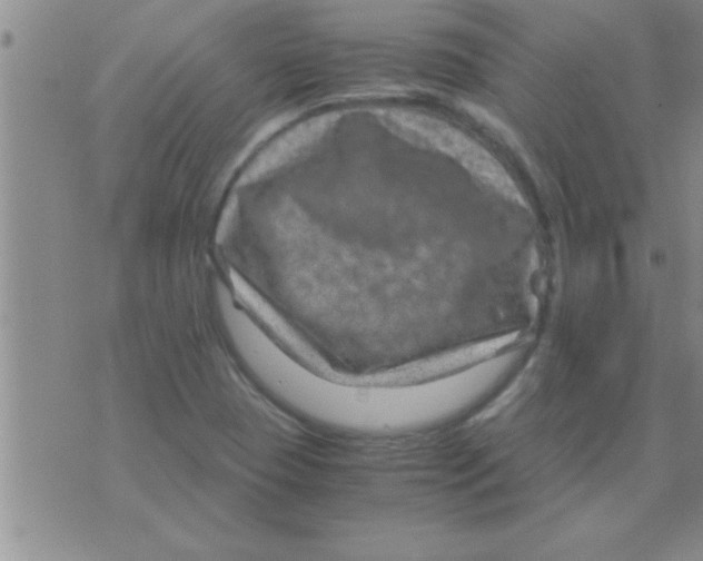 X0000075921409200610151855