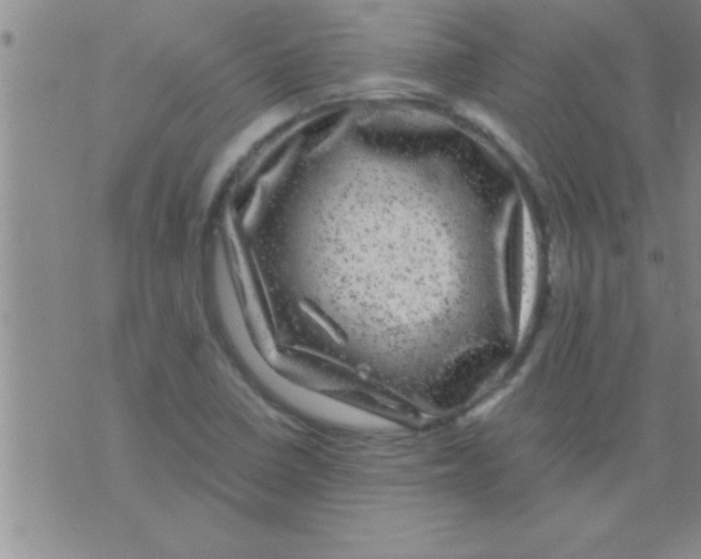 X0000075921410200610151855