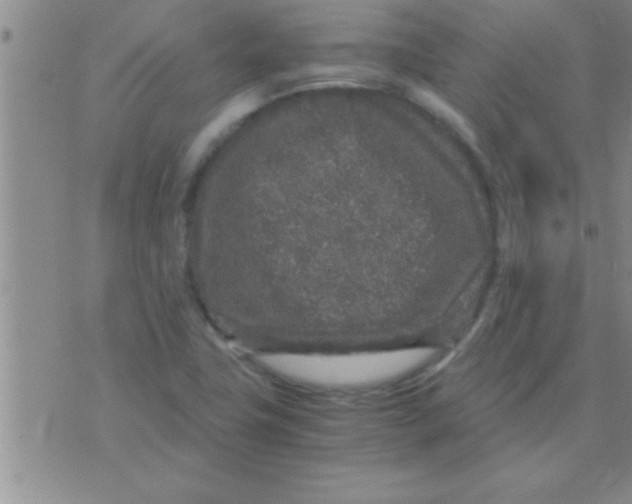 X0000075921411200610151855