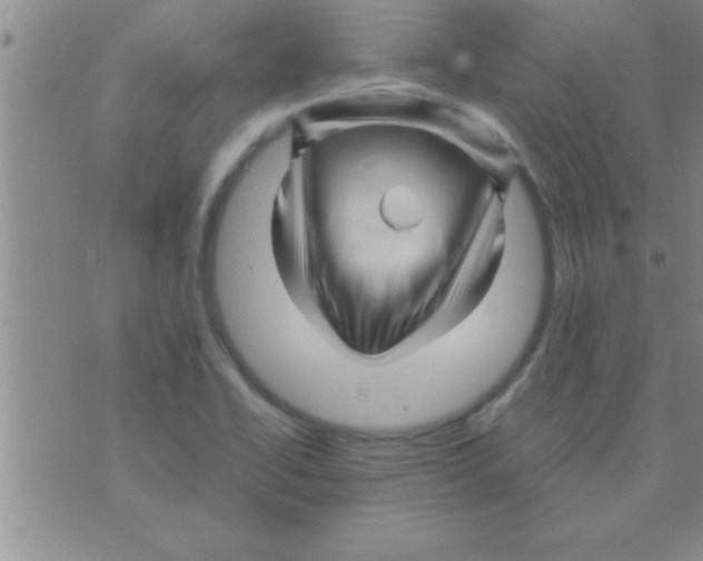 X0000075921414200610151855