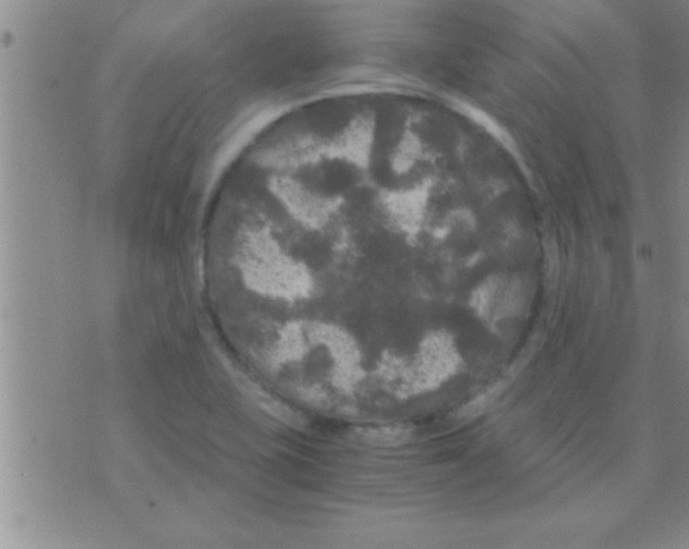 X0000075921415200610151855