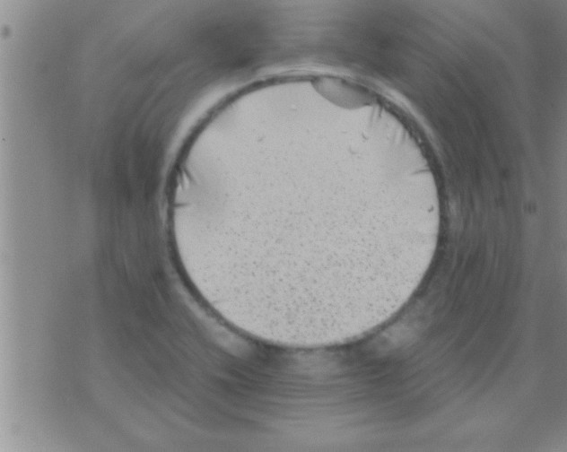 X0000075921416200610151855