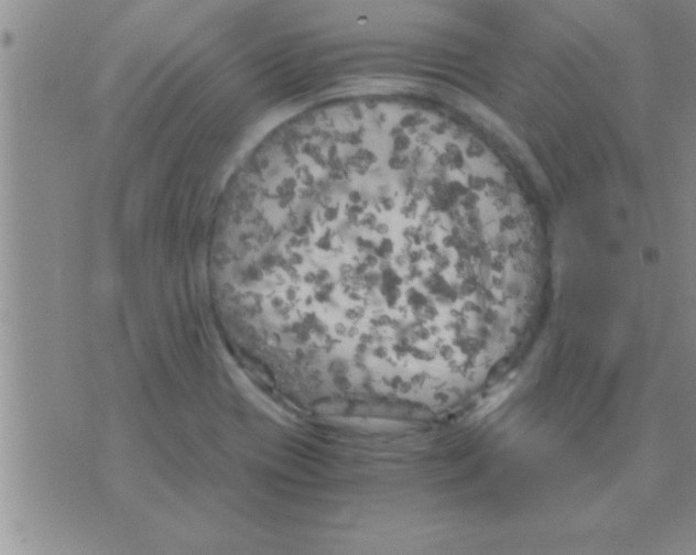 X0000075921417200610151855