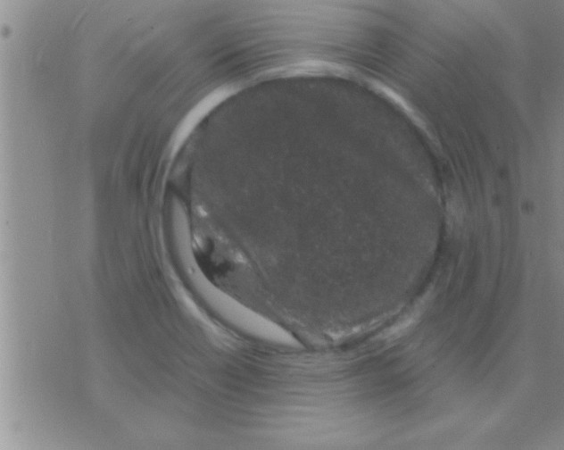 X0000075921418200610151855